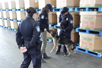 Kristi Noem with CBP agents (File).