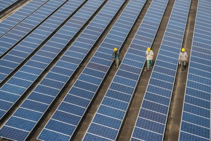 Trabajadores revisan paneles solares