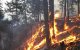En esta fotografía facilitada por el Servicio Forestal de EEUU el 25 de agosto de 2015 se muestra el incendio de Carpenter Road en la reserva india de Spokane, cerca de Wellpinit, en el estado de Washington. A fecha de 25 de agosto, el incendio de Carpenter Road abarca 37 132 acres (15 026 hectáreas) y está controlado en un 20 %.  FOTO DE AFP / CEDIDA / SERVICIO FORESTAL DE EE. UU.      == USO EXCLUSIVAMENTE EDITORIAL / CRÉDITO OBLIGATORIO: «FOTO DE AFP / CEDIDA / SERVICIO FORESTAL DE EE. UU.» / PROHIBIDO SU USO CON FINES COMERCIALES O EN CAMPAÑAS PUBLICITARIAS / DISTRIBUIDA COMO SERVICIO A LOS CLIENTES