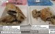 Esta foto sin fecha del Tribunal Supremo de Victoria publicada el 7 de julio de 2025 muestra una foto comentada de platos que contienen muestras de una comida de ternera Wellington con setas tóxicas preparada por la cocinera casera australiana Erin Patterson, durante un análisis toxicológico en el Instituto Victoriano de Medicina Forense. Una mujer australiana asesinó a los padres y a la tía de su marido añadiendo setas tóxicas a su comida de buey Wellington, según declaró un jurado el 7 de julio en el punto álgido de un juicio seguido en todo el mundo. Patterson organizó una comida íntima en julio de 2023 que empezó con bromas y oraciones sinceras, pero acabó con tres invitados muertos.