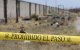 Vista del cordón policial en el "Rancho Izaguirre" tras la entrada de efectivos