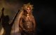 Beyoncé anuncia su embarazo en medio de un show (Imagen de archivo)