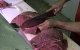 Un carnicero corta un trozo de carne-Imagen de archivo