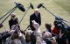 Donald Trump respondiendo preguntas en el Casa Blanca/ Andrew Caballero- Reynolds