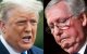Donald Trump y Mitch McConnell/ Saul Loeb, Mandel Ngan