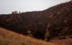 Ladera quemada en Jurupa Valley, en Riverside, California, en 2019