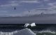 Un iceberg flota en las aguas del océano Atlántico