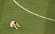 Un jugador iraní sentado en el césped luego del empate 2-2 con Nueva Zelanda, en su debut en el Mundial de Fútbol 2026.