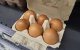 Imagen referencial de unos huevos