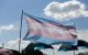 Imagen de la bandera trans