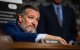 Ted Cruz en el Senado/ Allison Bailey