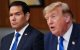 Marco Rubio junto a Donald Trump/ Aaron Schwartz