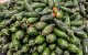 Se ven jalapeños mexicanos en un supermercado de Houston, Texas-Imagen de Archivo