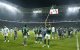palmeiras