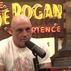 Elecciones presidenciales 2024: Rogan habló con Elon Musk durante casi tres horas