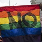 Manifestación a favor de la familia tradicional