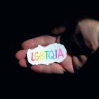 LGBTQ+ transgénero, gays