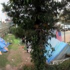 Campamento de personas sin hogar.