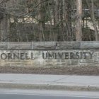 Cornell, Patrick Dai, Israel, antisemistimo