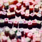 Letras de un juego infantil formando la palabra "Transgender".