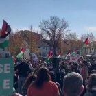 Marcha pro-Palestina