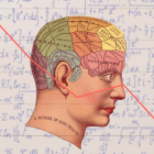 Ilustración de una cabeza destacando regiones del cerebro con una flecha indicando hacia abajo.