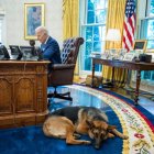 Commander acompañando a Joe Biden mientras éste trabaja en el Despacho Oval en