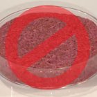 Imagen de archivo de carne artificial con un logo de prohibido para representar gráficamente la prohibición de Italia a la carne artificial.