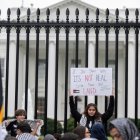 Un grupo de manifestantes con banderas y carteles en favor de Palestina frente a las rejas de las Casa Blanca.