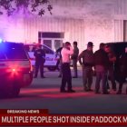 Las autoridades buscan a un sospechoso por el tiroteo que se registró en un centro comercial de Florida | Captura de pantalla YouTube Fox