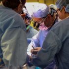 Cirujanos realizan en el Hospital General de Massachusetts el primer trasplante de riñón de cerdo modificado genéticamente a un ser humano vivo.