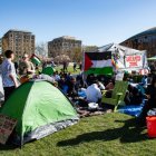 Manifestantes antiisraelíes de la Universidad de Harvard y el Instituto Tecnológico de Massachusetts (MIT)