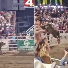 Captura de pantalla de un video de News 4 San Antonio que muestra el momento en que un toro se escapa de un rodeo en Oregón.