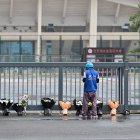 Un repartidor deposita pedidos online de ramos de flores en un monumento improvisado frente al Centro Deportivo de Zhuhai