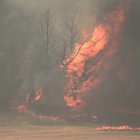 - Flames engulf trees during a forest fire near the central Israeli town of Bet Shemesh