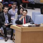 Danny Danon, Israel's representative to the UN