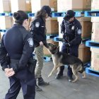 Kristi Noem junto a agentes de la CBP (Archivo)