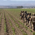 Agentes migratorios irrumpen en granja; mujer levanta las manos.