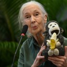 La Dra. Jane Goodall en noviembre del 2024 en Mumbai, India.(Photo by Raju Shinde/Hindustan Times/Sipa USA )
 *** Local Caption *** 57810443
