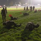 Soldados del Ejército de EE.UU., realizan un gateo bajo como parte de la evaluación de aptitud física experta durante las pruebas de la Insignia Médica de Campo Experta y la Insignia de Soldado Experto organizadas por el 21º Mando de Sustitución de Teatro en Baumholder, Alemania, 29 de septiembre de 2025.  El gateo bajo simula el movimiento bajo fuego, requiriendo que los soldados permanezcan agachados, se muevan rápido y mantengan la disciplina bajo presión.