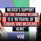 Entrevista con la abogada mexicana Alicia Galván