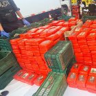 Alijo de droga incautado durante el operativo contra el Cártel del Caribe Sur