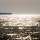 Un petrolero en las aguas del Golfo, frente a la costa de la península de Faw, en el sur de Irak, el 5 de agosto de 2025.