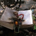 Libros religiosos quemados dentro de una mezquita durante las recientes protestas públicas en Teherán