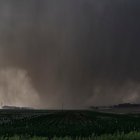 Un violento tornado en forma de cuña, envuelto en lluvia, arrasa tierras de cultivo (Archivo)