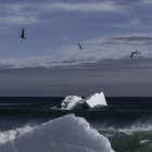 Un iceberg flota en las aguas del océano Atlántico