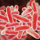legionella