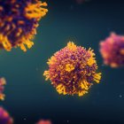Virus del sarampión, ilustración.