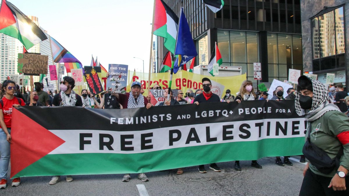 Anti-Israel protesters in Chicago, Ill.