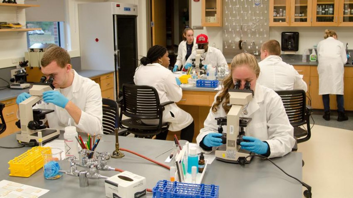 Imagen de archivo de un laboratorio científico celular situado en Peckham Hall